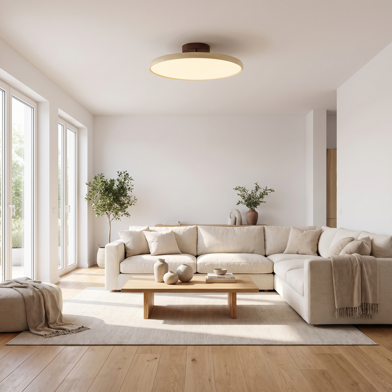 Arco Adjustable Ceiling Lamp
