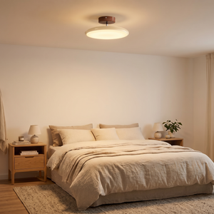 Arco Adjustable Ceiling Lamp