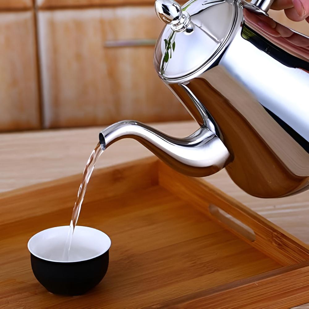 Stainless Steel Tea Kettle With Built In Filter