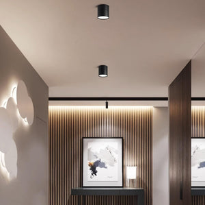 Faro Dimmable Matte LED Surface Mount Spotlight