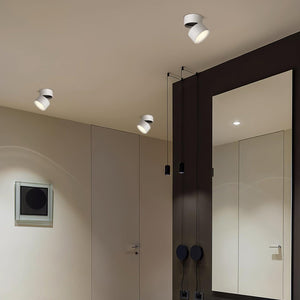 Faro Dimmable Matte LED Surface Mount Spotlight