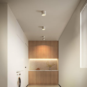 Faro Dimmable Matte LED Surface Mount Spotlight