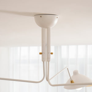 Arachne Mid Century Modular Adjustable Multi-Arm Ceiling Light