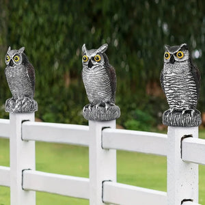Realistic Owl Statue for Halloween Yard Decor