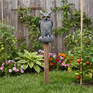 Realistic Owl Statue for Halloween Yard Decor