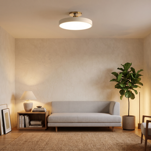 Miella Flush Mount Ceiling Light living room