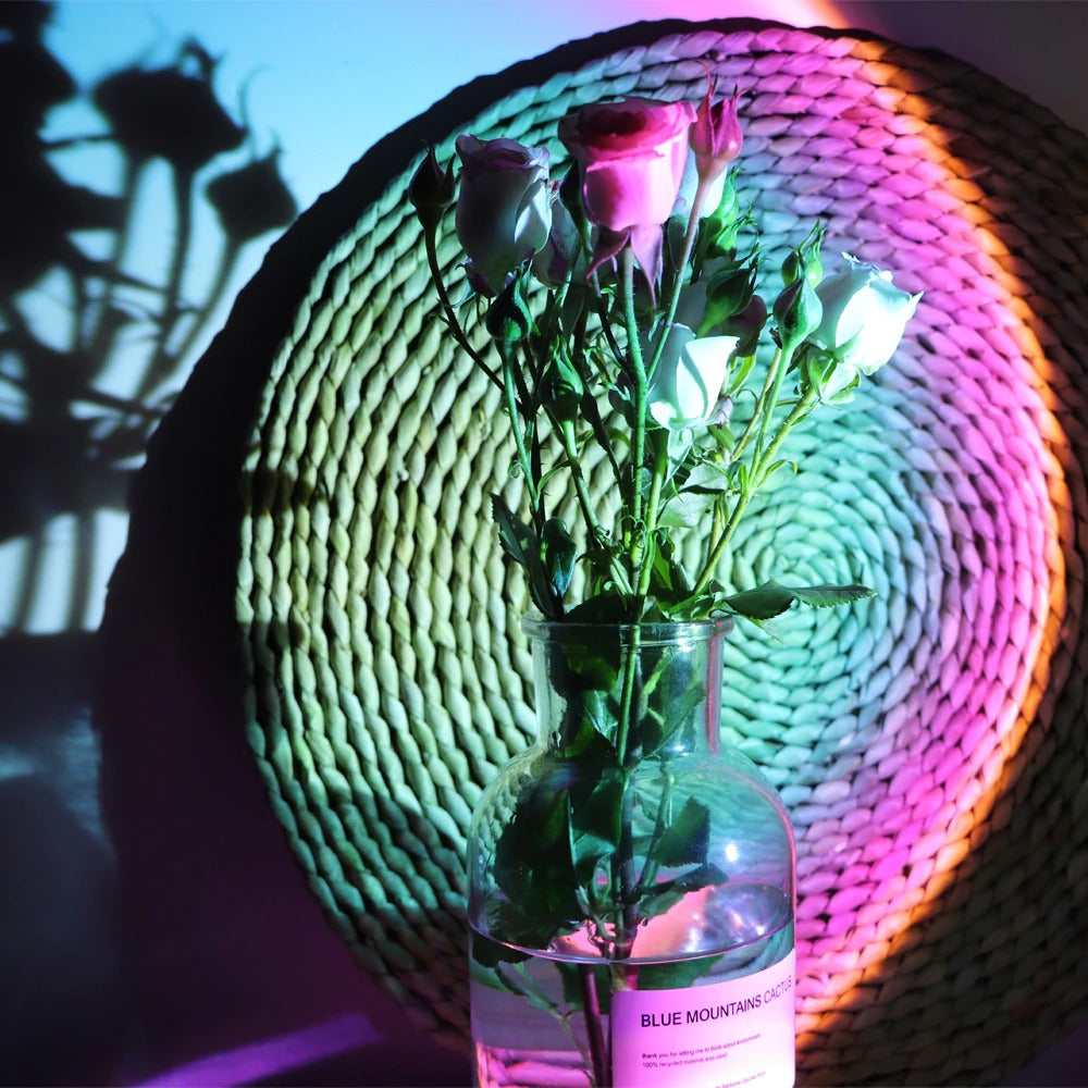 Noctelle Golden Hour Sunset Lamp Projector